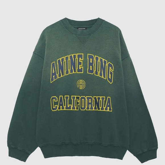 Anine Bing Jaci Sweatshirt in Washed Faded Green Size Medium - Picture 5 of 12